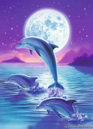 A delfinek.jpg