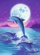 A delfinek