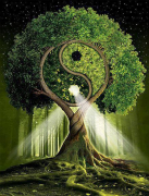 A fák isteni tudatossága