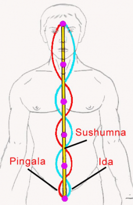 A három fő nádi az Ida, a Pingala és a Szusumna2.jpg