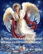 Áldott és Boldog Karácsonyt Kívánunk