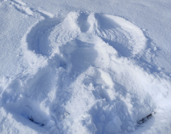 HÓ ANGYAL SAJÁT.jpg