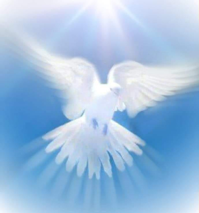 szent lélek galambja.jpg